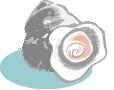 さざえ
